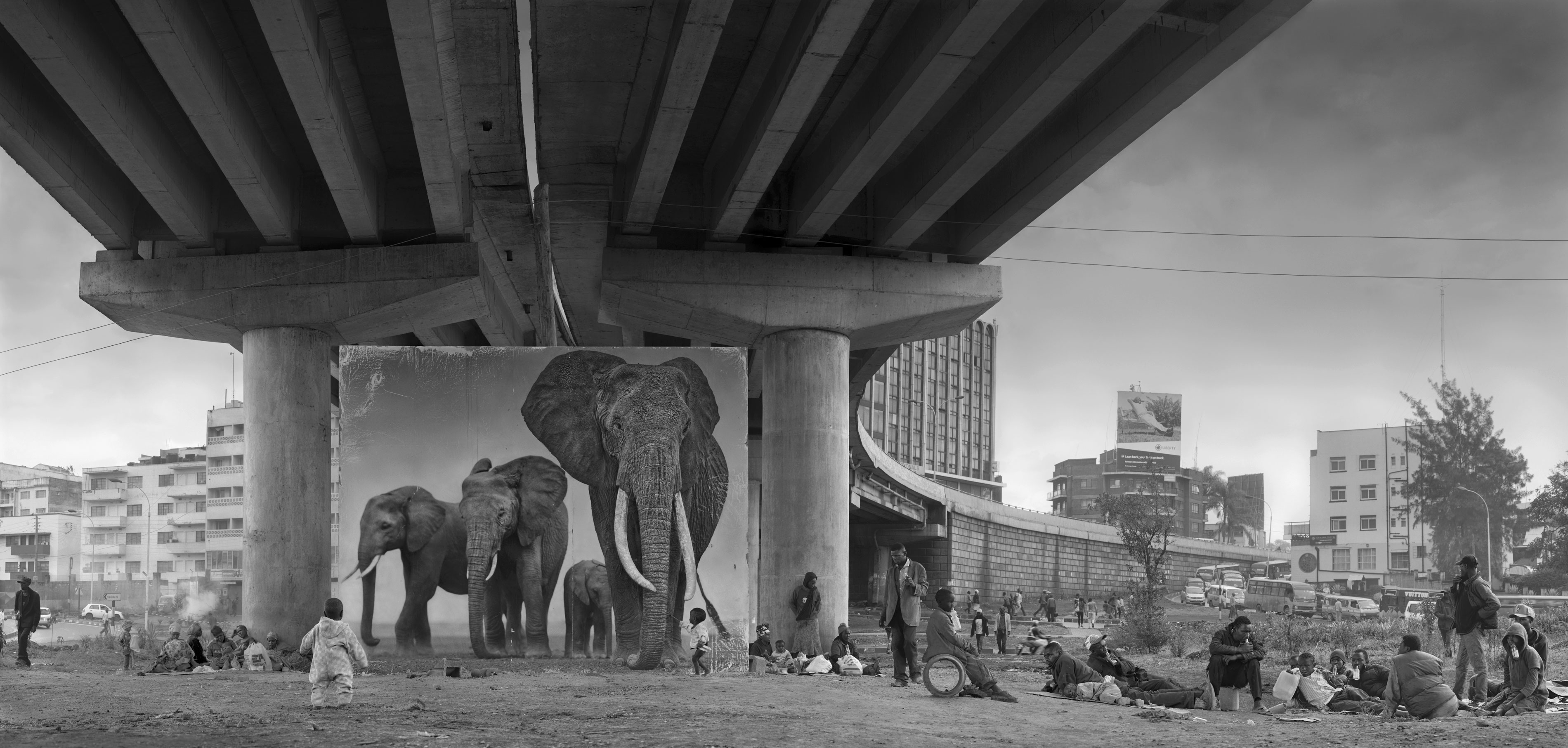 UNDERPASS-WITH-ELEPHANTS