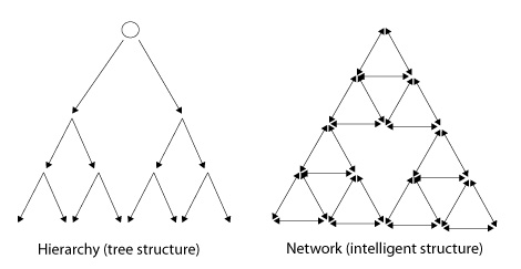 hierarchy-network